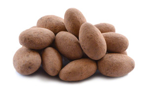 Cocoa Dusted Almonds