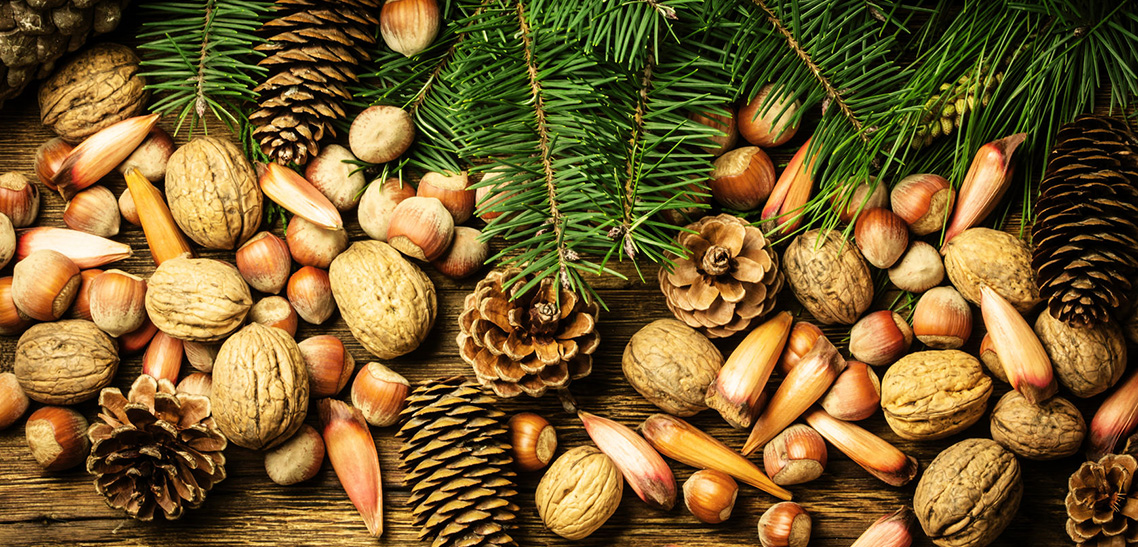 Christmas Nuts