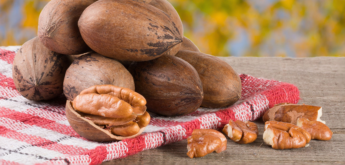 Health Benefits of Pecans