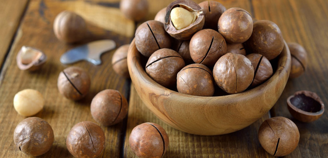 Macadamia vs Hazelnuts – What is the Difference?