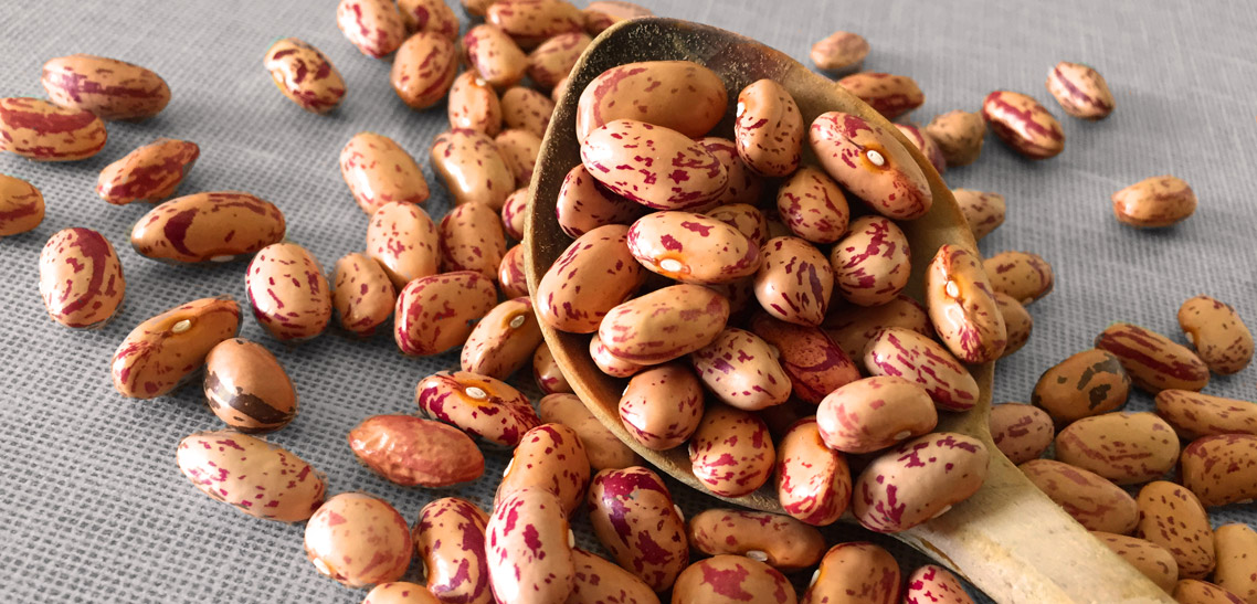 Pinto Beans is Excellent for Lowering Blood Cholesterol
