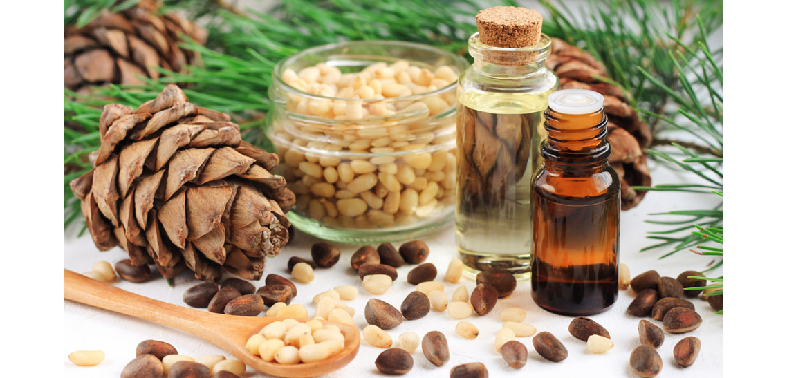 The Use of Pine Nuts in Medcine