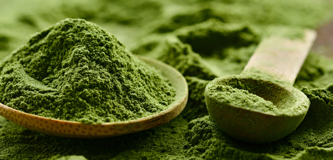 What is Chlorella Powder?