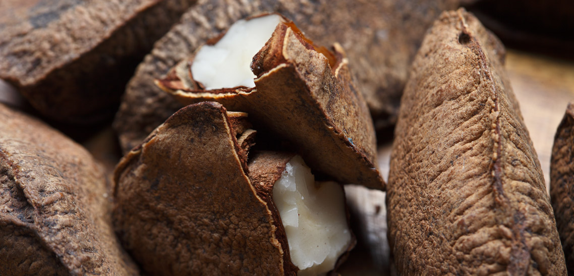 Interesting Facts About Brazil Nuts