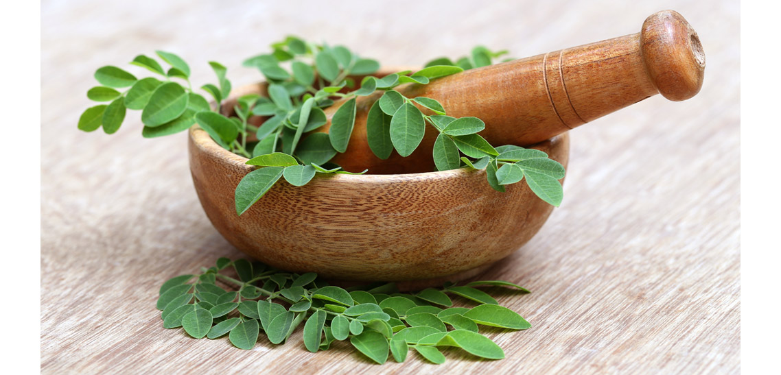 What is Moringa?