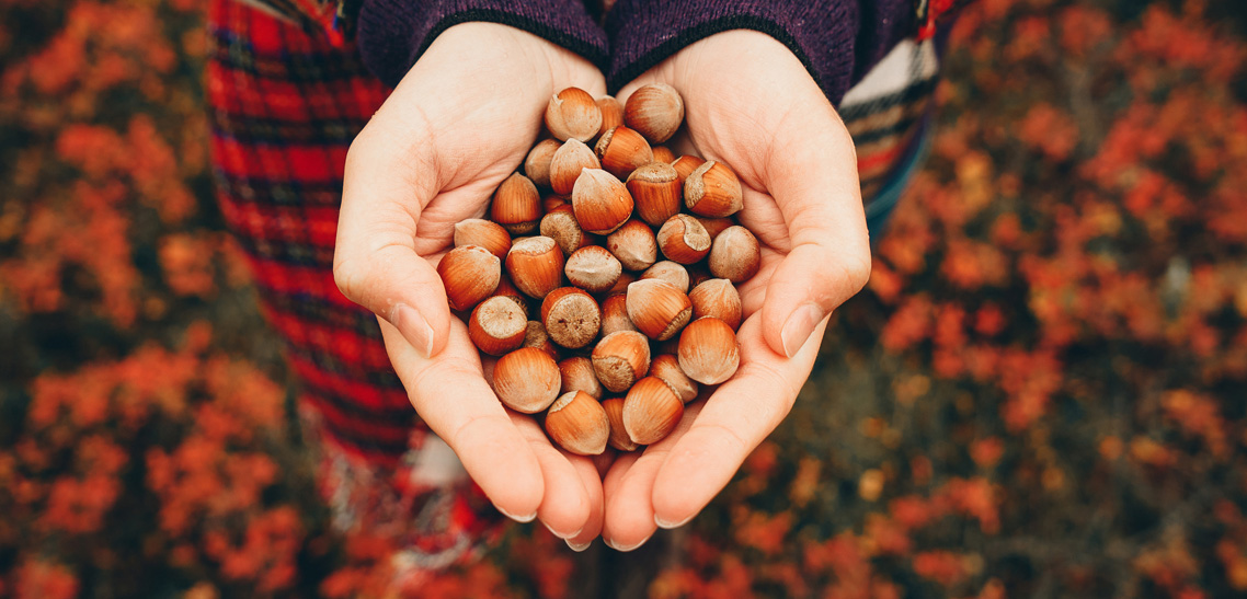What is the Difference between Unblanched  and Blanched  Hazelnuts?