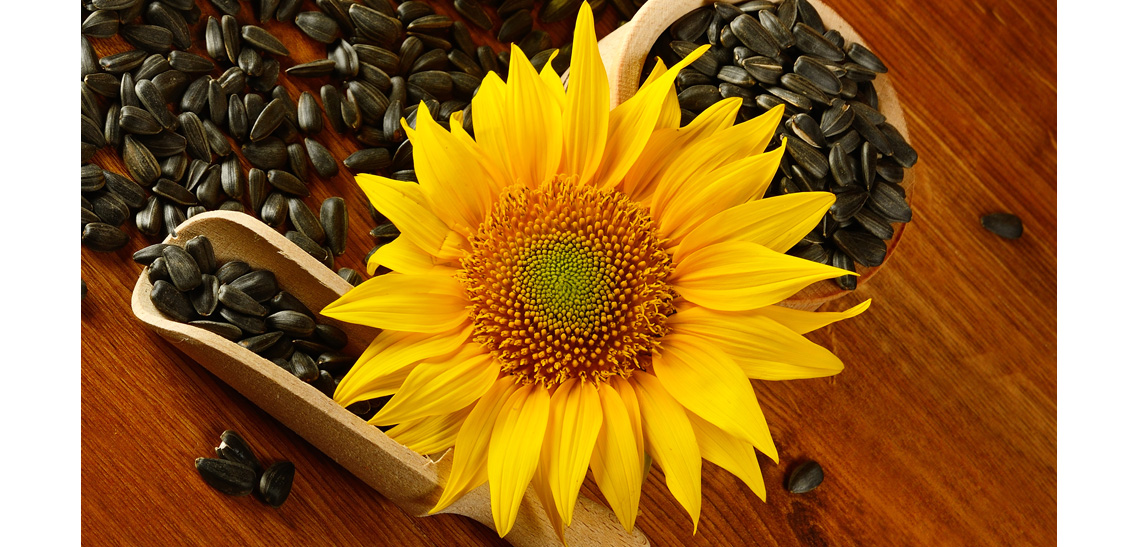 Roasted Sunflower Seeds Recipes