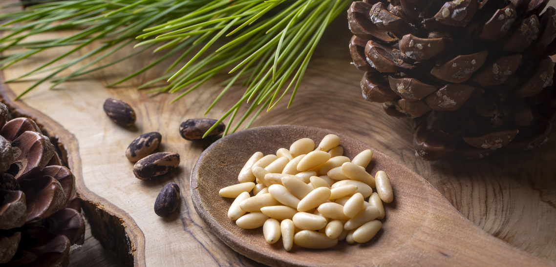 Pine Nuts are Actually not Nuts at All