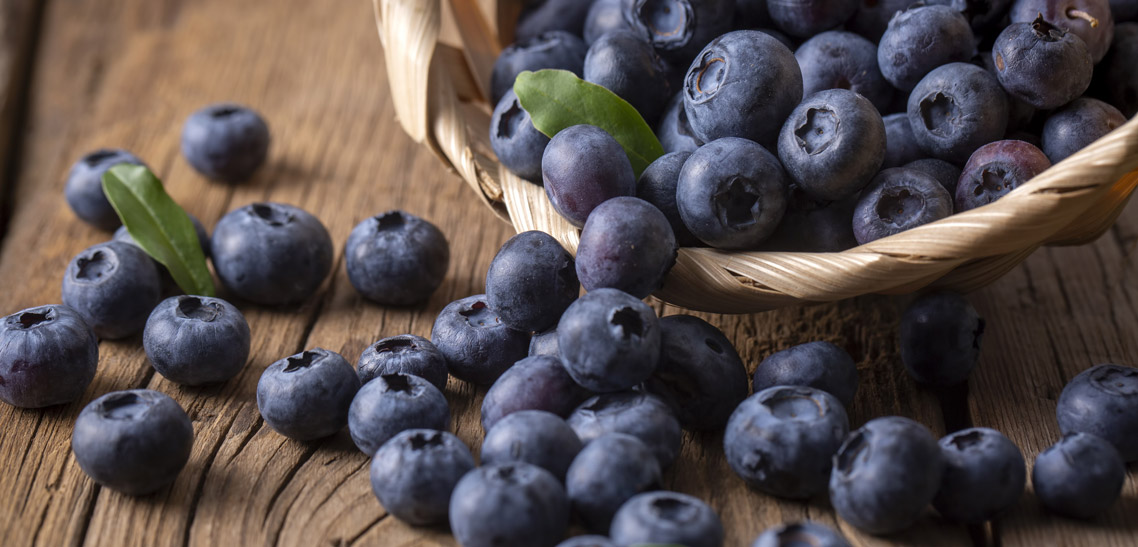 Is Dried Blueberries Good for Pregnancy?