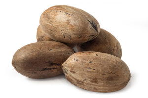 Pecans in Shell